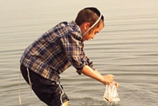 At the Red Sea