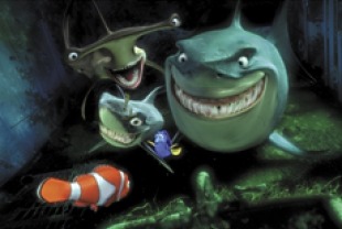The Sharks 12-Step Program