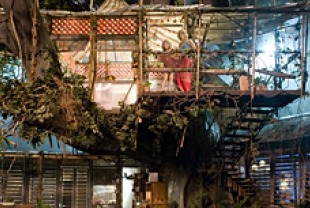 Secret House on Nim's Island