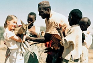 Nowhere in Africa