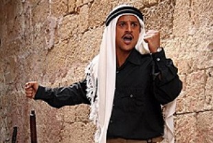 Said Taghmaoui as Said Chahine