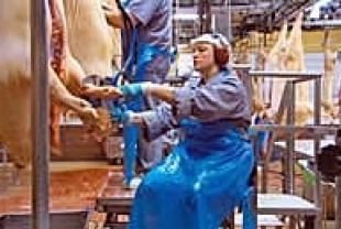 Our Daily Bread