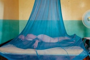 A scene from Paradise: Love