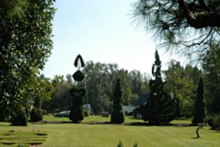 The Garden