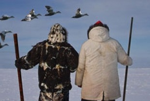 A scene from People of a Feather