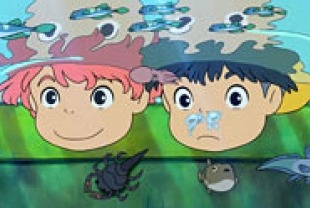 The Wonders of the Sea