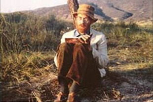 Ian McKellen as D.H. Lawrence