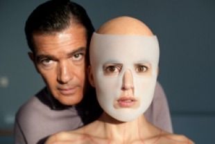 Antonio Banderas as Robert and Elena Anaya as  Vera