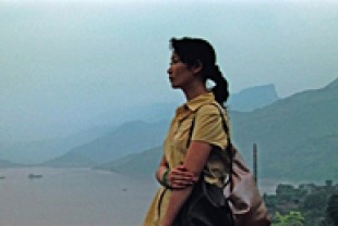 Zhao Tao as Shen Hong
