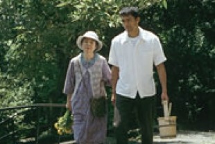 Still Walking