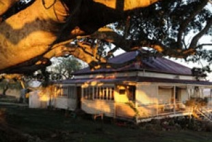 House and Tree