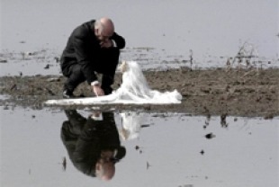 The Weeping Meadow