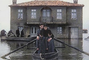 The Weeping Meadow