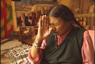 Tibet: Cry of the Snow Lion