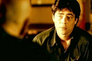 Benicio Del Toro as Javier