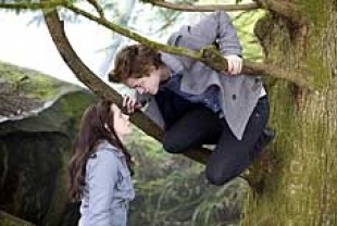 In the Trees