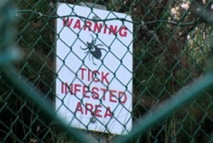 Warning