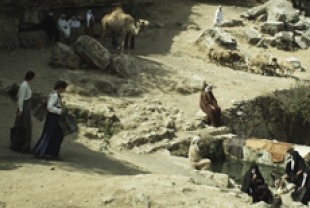 Valley of Strength