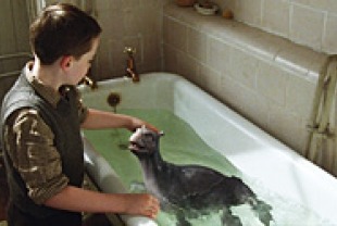 Alex Etel as Angus and the Water Horse