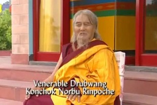 The Yogis of Tibet